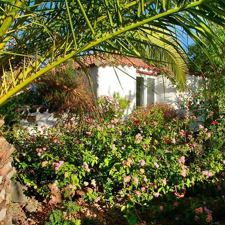 Finca Cosmos El Paso Exteriér fotografie