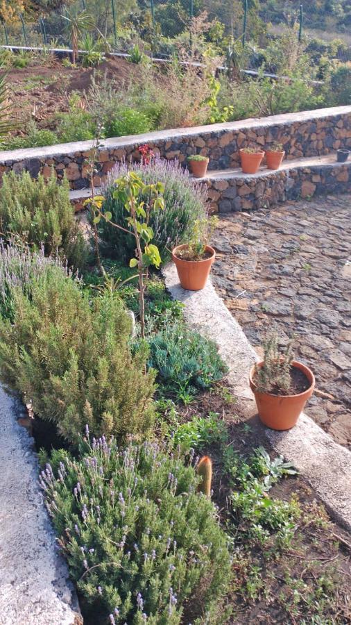 Finca Cosmos El Paso Exteriér fotografie