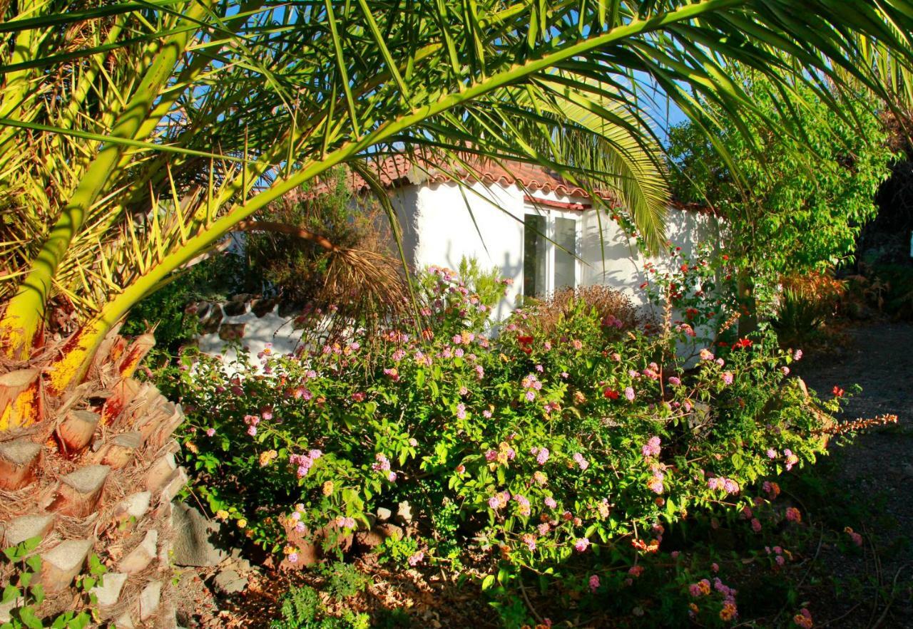 Finca Cosmos El Paso Exteriér fotografie